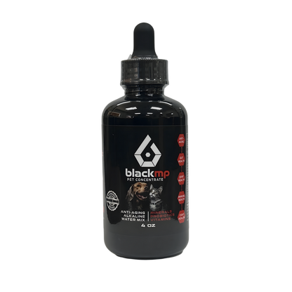 BlackMP Pet Concentrate - 4oz (2-3 Month Supply)