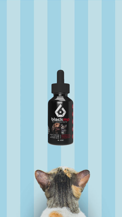 BlackMP Pet Concentrate - 4oz (2-3 Month Supply)